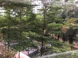 Blk 433B Sengkang West Way (Sengkang), HDB 5 Rooms #247291471
